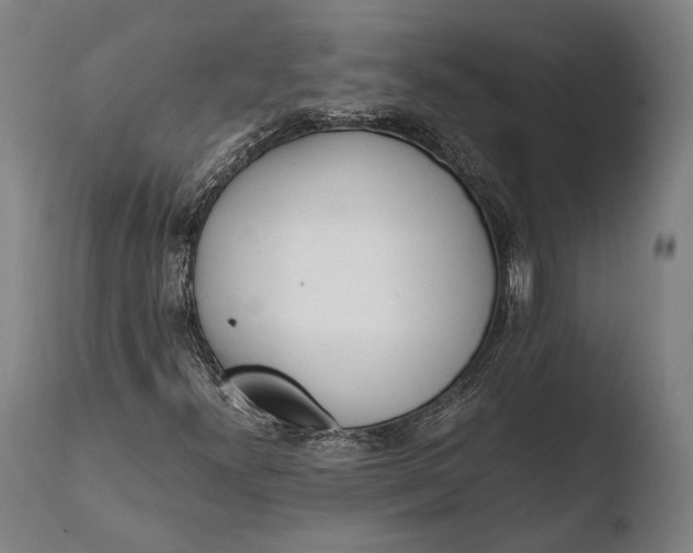 X0000108481300200904241250