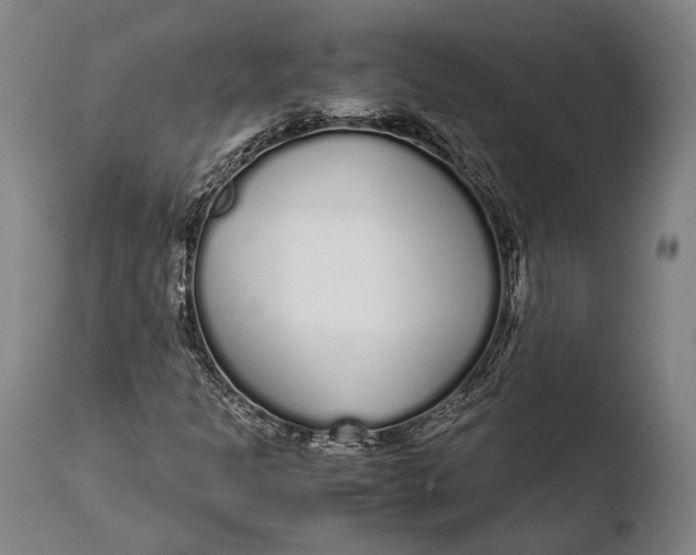 X0000108481301200904241250