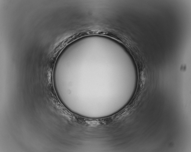 X0000108481302200904241250