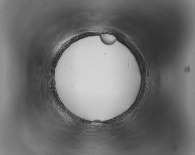 X0000108481304200904241250