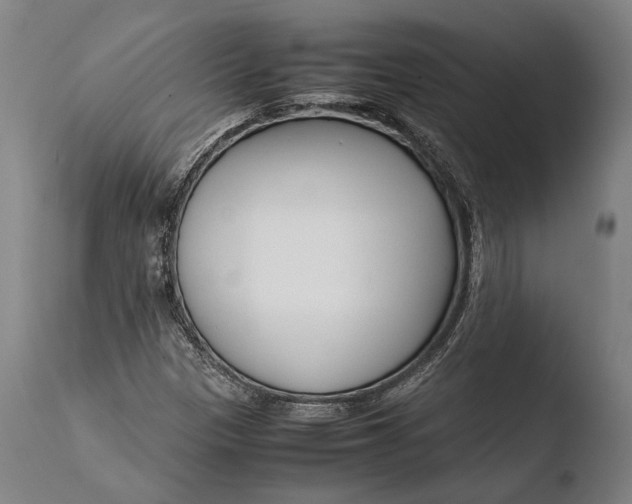 X0000108481305200904241250