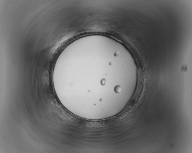 X0000108481307200904241250