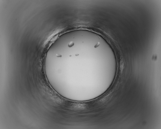 X0000108481309200904241250