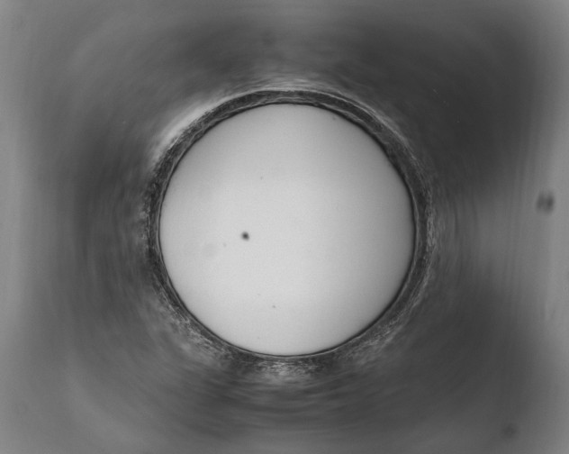 X0000108481311200904241250