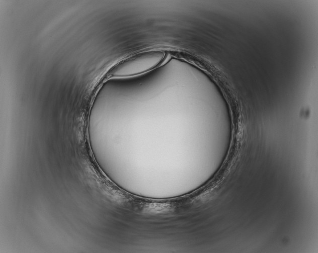 X0000108481313200904241250