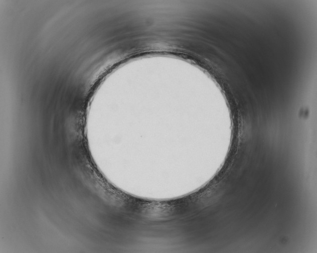 X0000108481314200904241250