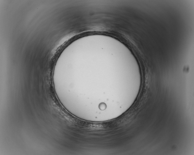 X0000108481315200904241250