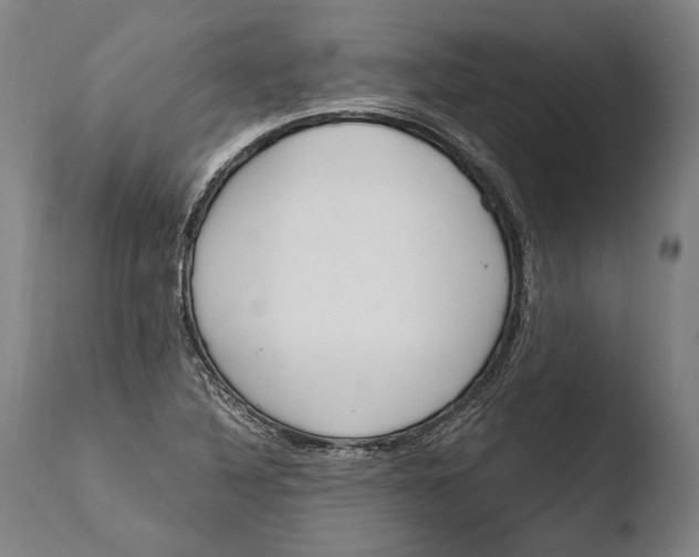 X0000108481316200904241250