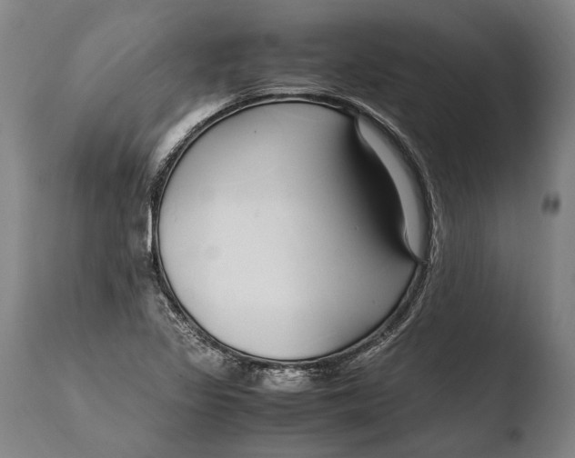 X0000108481317200904241250