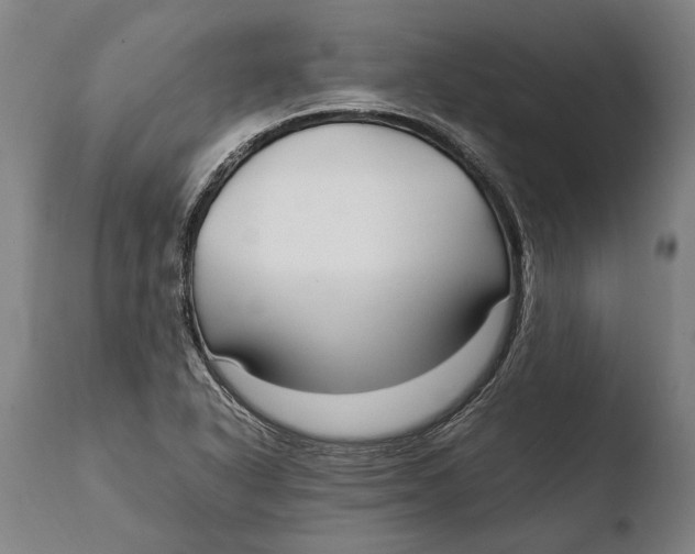 X0000108481318200904241250