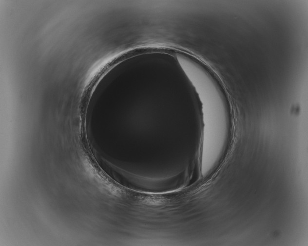 X0000108481319200904241250