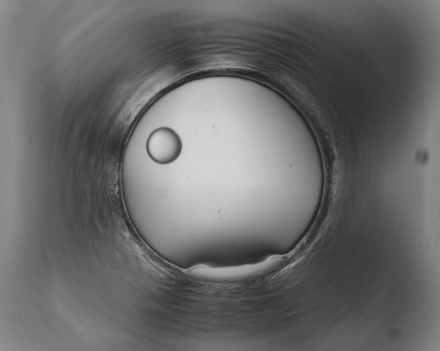 X0000108481321200904241250