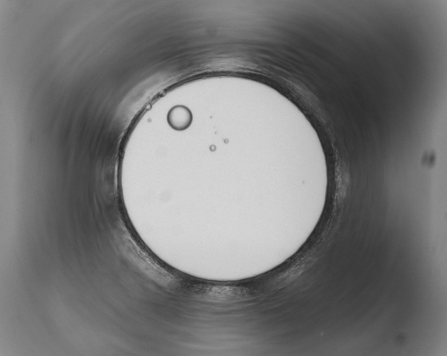 X0000108481322200904241250
