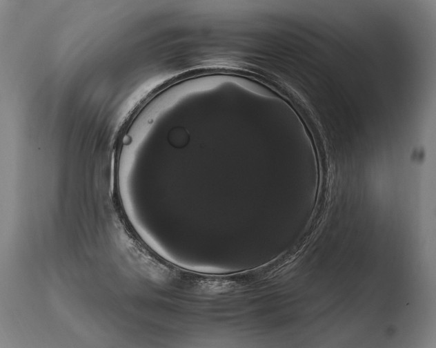 X0000108481323200904241250