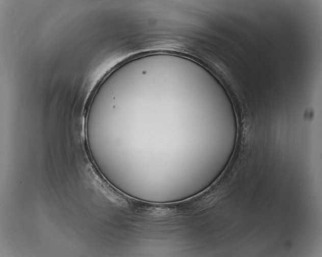 X0000108481324200904241250