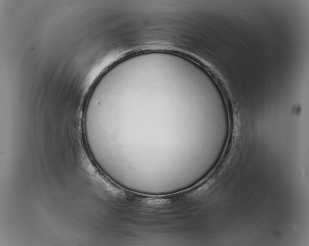 X0000108481325200904241250