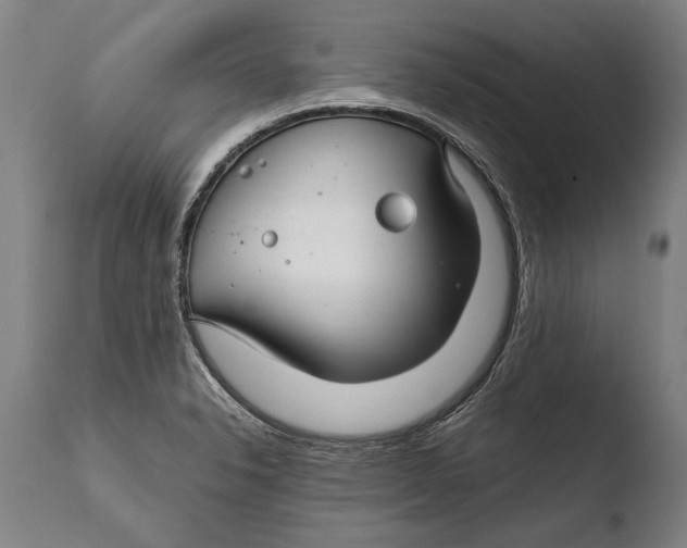 X0000108481326200904241250