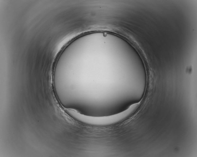 X0000108481328200904241250
