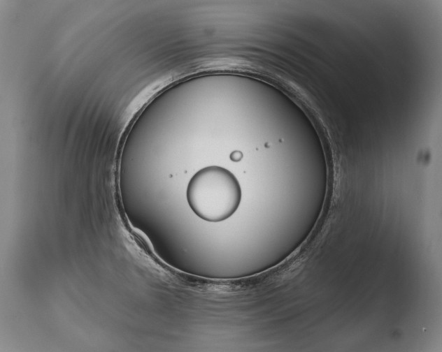 X0000108481330200904241250