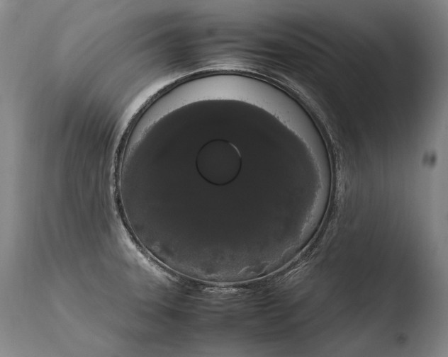 X0000108481331200904241251