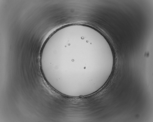 X0000108481332200904241251