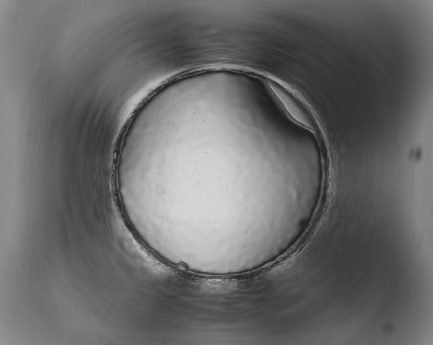 X0000108481333200904241251