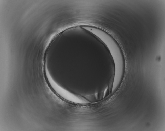 X0000108481334200904241251