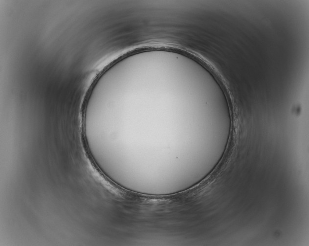 X0000108481335200904241251