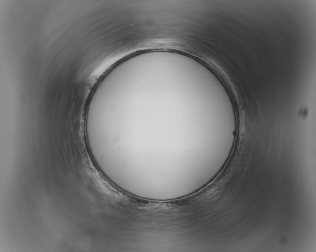 X0000108481336200904241251