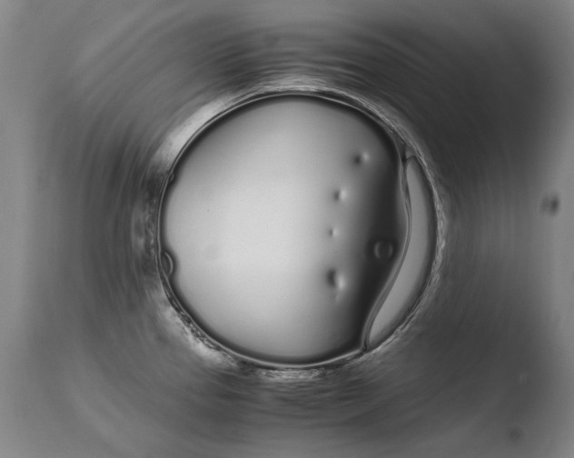 X0000108481337200904241251