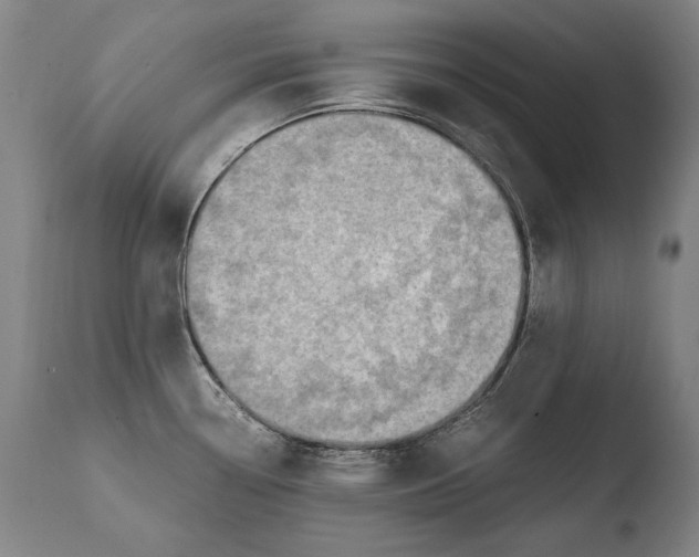X0000108481338200904241251