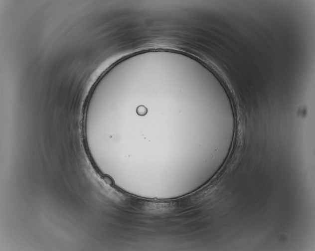 X0000108481339200904241251