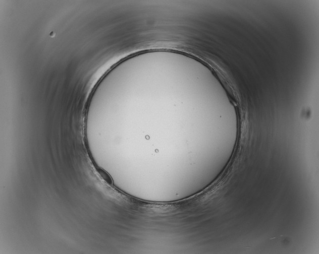 X0000108481340200904241251