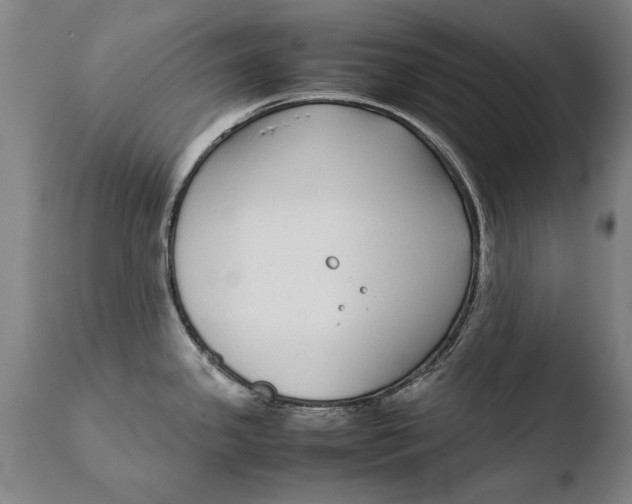 X0000108481341200904241251