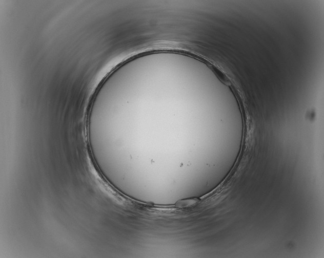 X0000108481342200904241251
