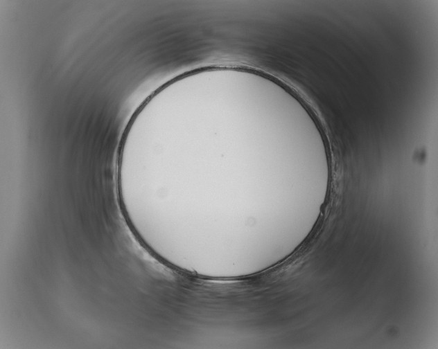 X0000108481343200904241251