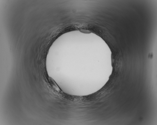 X0000108481345200904241250