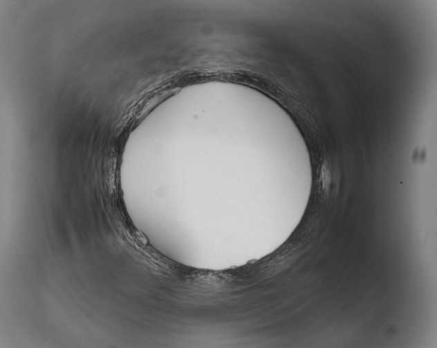 X0000108481348200904241250