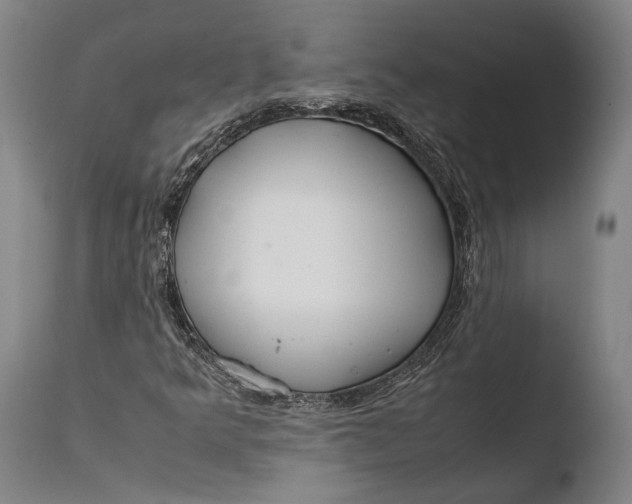 X0000108481349200904241250