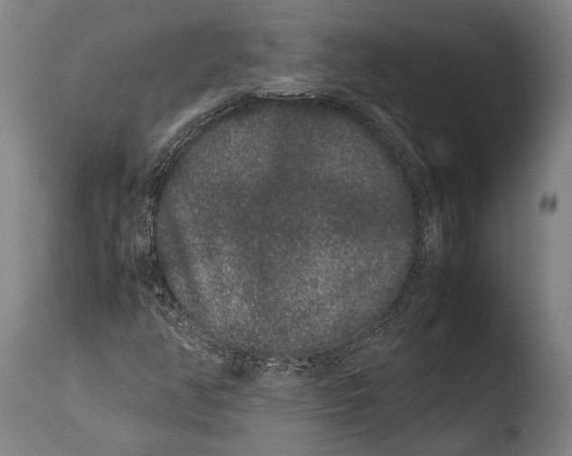X0000108481350200904241250