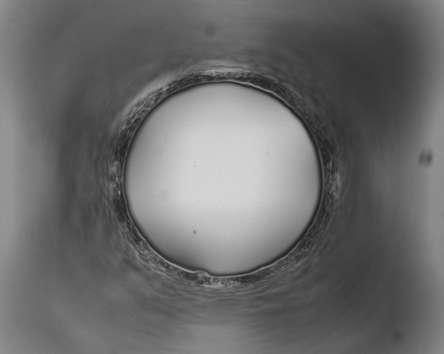 X0000108481351200904241250