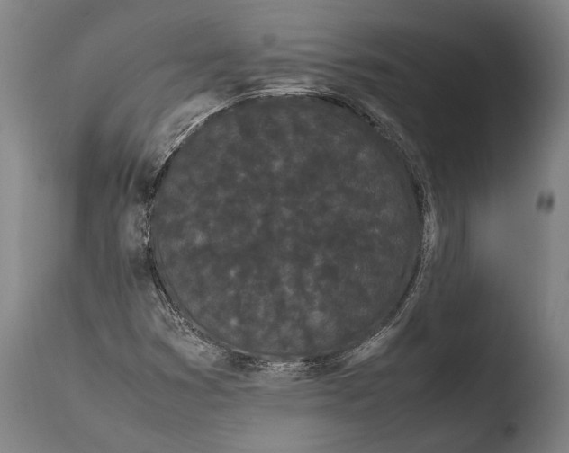 X0000108481353200904241250