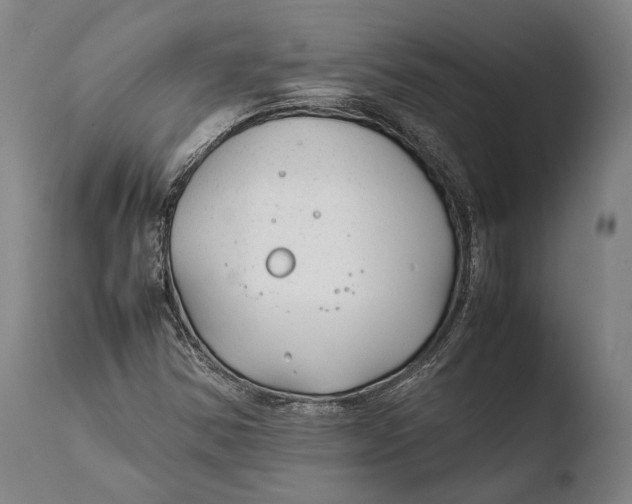 X0000108481354200904241250
