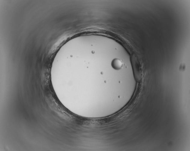 X0000108481355200904241250