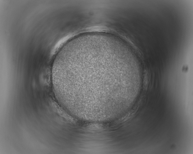 X0000108481358200904241250