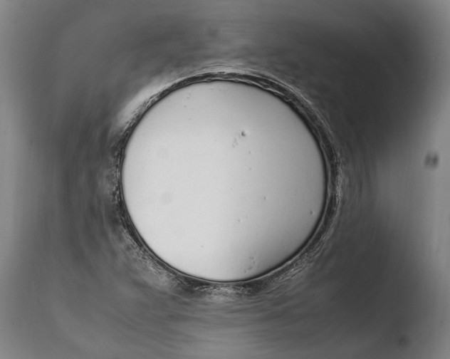 X0000108481359200904241250