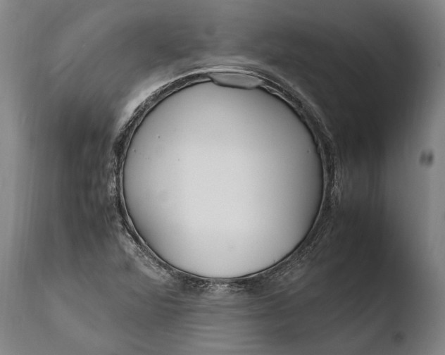X0000108481360200904241250