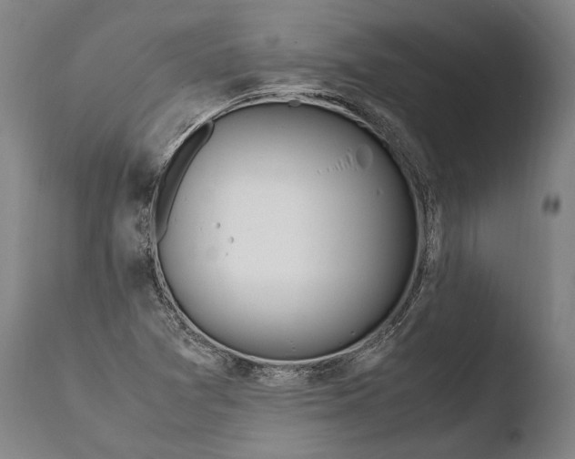 X0000108481361200904241250