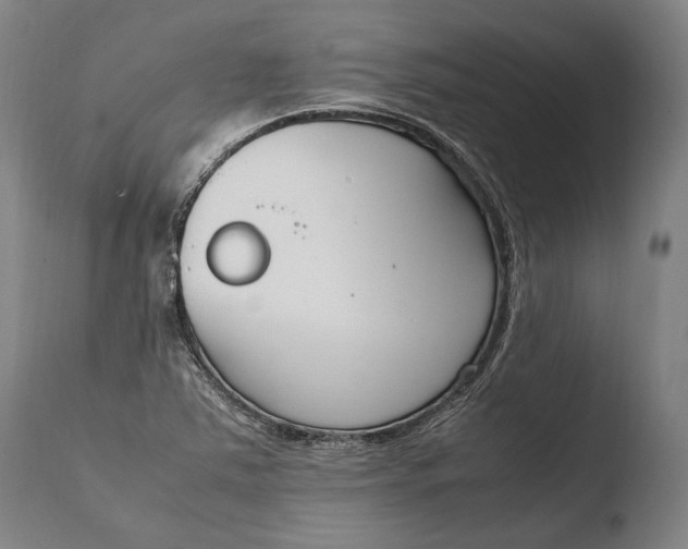 X0000108481363200904241250
