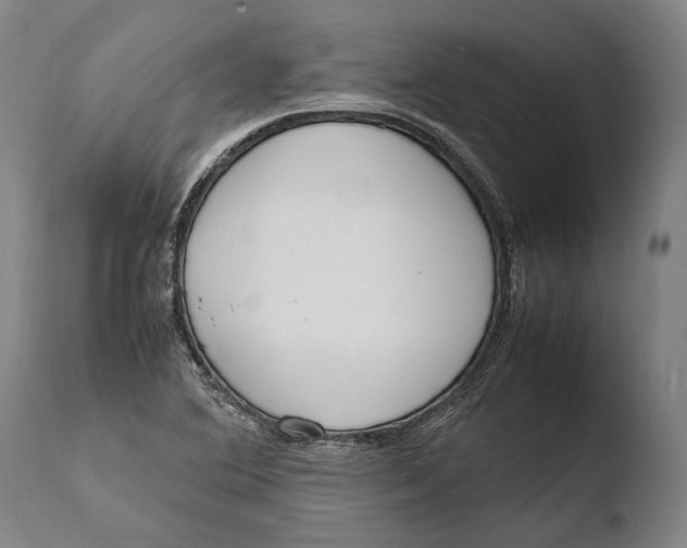 X0000108481364200904241250